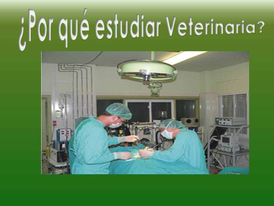 porquestudiarveterinaria.jpg